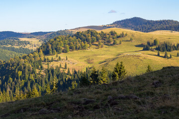 Obraz premium apuseni natural park of romania. landscape with forested rolling hills and valleys in evenign light. popular travel destination. beautiful nature scenery in early autumn