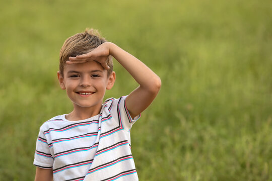Cute little boy in field, space for text. Child spending time in nature