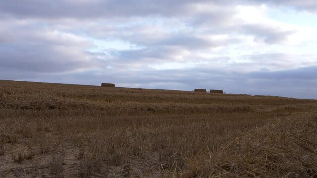 Farmland with bales of hay on the horizon