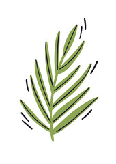 Palm boho vector illustration. 