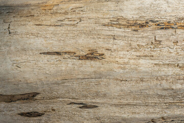 texture background of a brown wood