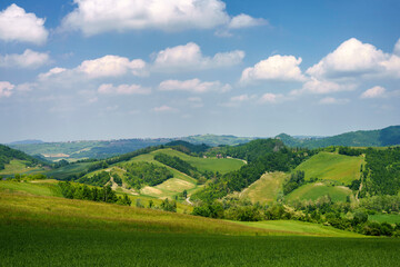 Fototapeta na wymiar Rural landscape at May in Oltrepo Pavese near Zavattarello