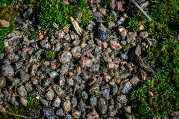 old cracked and weathered broken floor of cement and stone, with grass and moss growing.