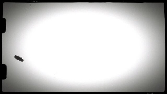 Super 8 film frame loop 
