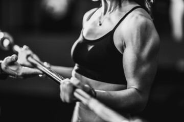 Muscular Woman Doing Training With Barbell At The Gym
