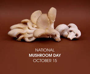 National Mushroom Day stock images. Oyster mushroom and white champignon mushrooms isolated on a brown background stock images. Mushroom Day Poster, October 15. Important day