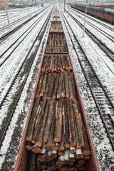 Transportation of logs by rail in open wagons in winter.
