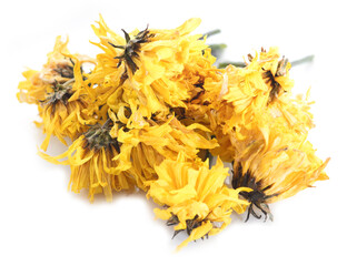 Yellow flowers dead, isolated on white background