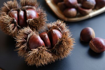 いがぐりと栗の実