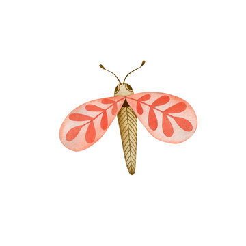 Watercolor illustration of a butterfly in boho style isolated on white background