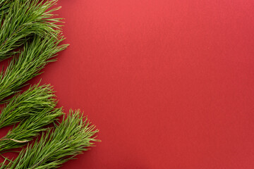 Christmas composition. Fir tree branches on red background. Flat lay, top view, copy space