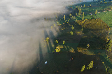 Aerial view of mountain landscape with morning fog, at the forest edge, in Romania