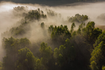Aerial view of mountain landscape with morning fog, at the forest edge, in Romania © alexionutcoman