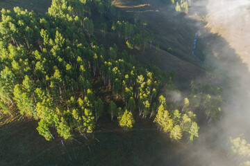 Aerial view of mountain landscape with morning fog, at the forest edge, in Romania
