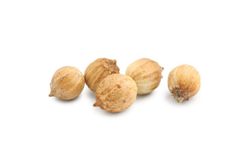 Scattered dried coriander seeds on white background, closeup