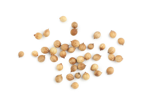Scattered dried coriander seeds on white background, top view