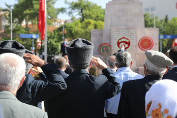 veteran salute in a frame at the celebrations veteran day.