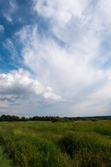 Beautiful summer landscape. Countryside with road on the field, green grass, trees and dramatic blue sky with fluffy clouds.