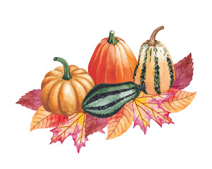 Autumn pumpkins. Watercolor composition on a white background.