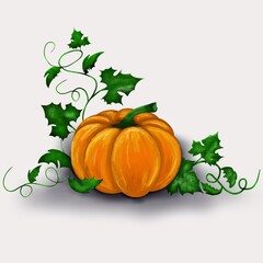 
pumpkin in a watercolor style with leaves and pagons