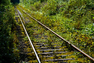Eisenbahn Schienen Strecke Natur grün Vegetation geradeaus Wald Sauerland Deutschland Hönnetal...
