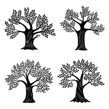 Living trees silhouettes. Minimalistic genealogical tree set with foliage, life education and health symbols for company logo, oak or olive painting wood graphics