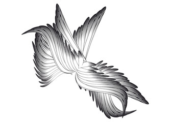 wild schlagende Flügel- kunstvoller Flügelschlag
