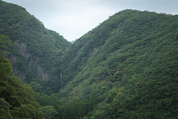 Fototapeta na wymiar 和歌山県 八草の滝