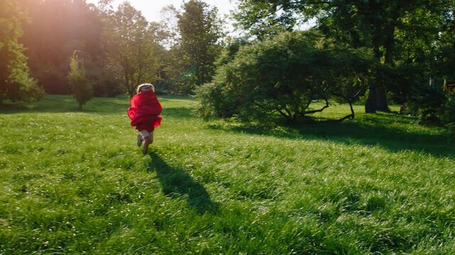 Cute small boy in the park wearing a superhero suit and running through the grass in front of the camera. 4k