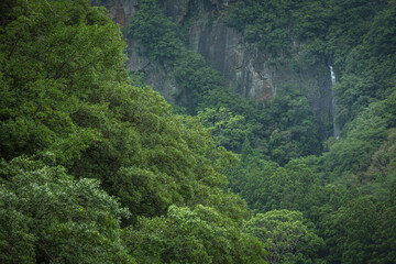 和歌山県 八草の滝