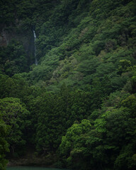 和歌山県 八草の滝
