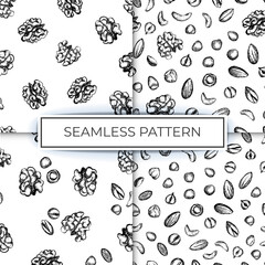 collection pattern nuts sketch illustration background hand drawn ink