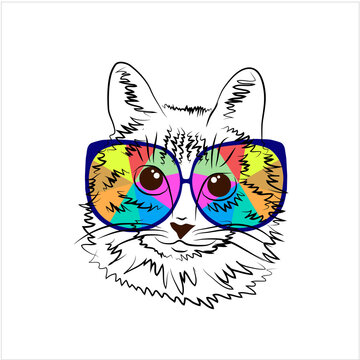 Painted black and white drawing of a cat in colored sunglasses for printing prints on fabrics and clothes