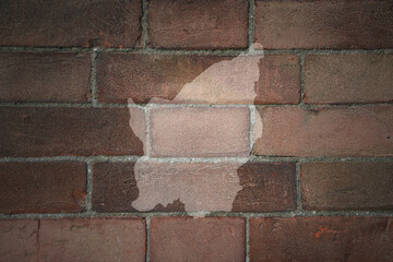 map of san marino on a old brick wall