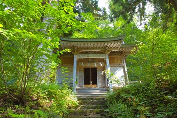 森の中に佇む神社