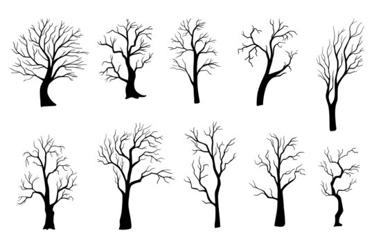 Spooky tree silhouette vector isolated on white. Set of Halloween trees.