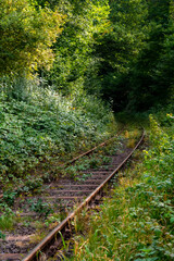 Eisenbahn Schienen Strecke Natur grün Vegetation Kurve Wald Sauerland Deutschland Hönnetal verwunschen Nebenstrecke Zug Pflanzen Schwellen Lokführer Balve Menden Fröndenberg Neuenrade Verbindung 