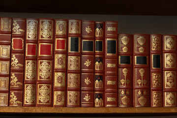 Аntique books on wooden library