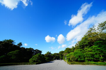 日本の神社でお参り