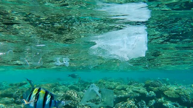 Lot of plastic and other debris slowly drifts under surface of the water, tropical fish swim around it, on background is beautiful coral reef. Plastic pollution on the Red Sea, Egypt