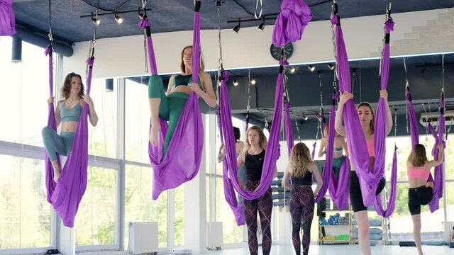 Group of young women practice in  stretching swing. Aerial flying yoga exercises practice in purple hammock in fitness club.