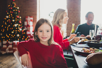 Portrait of adorable attractive cheerful family gathering celebrating festal day occasion fir tree at home indoors