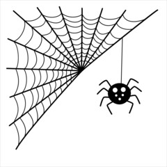 Spider web and spider.
