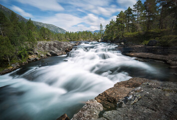 waterfall in the forest