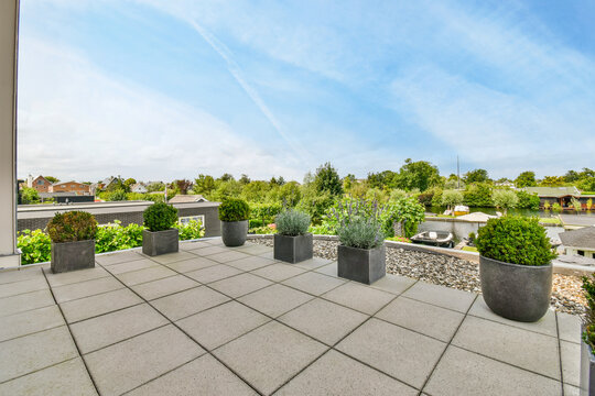 Terrace with potted plants