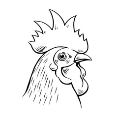 Fototapeta premium Head portrait of a rooster. Logo, emblem of chicken meat, farming. Domestic bird. Vector isolated illustration sketch hand drawn