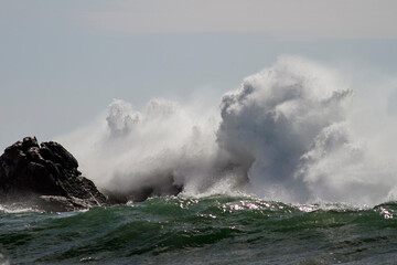 Sunny breaking sea waves