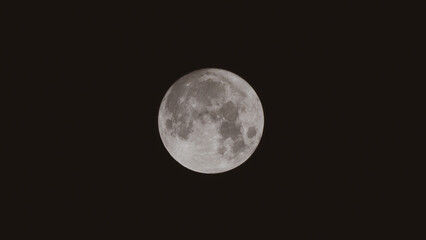 Obraz na płótnie Canvas 満月の夜。