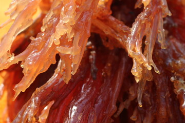 resin - from Larch trees