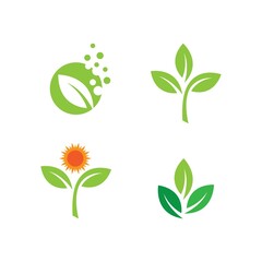  green leaf illustration